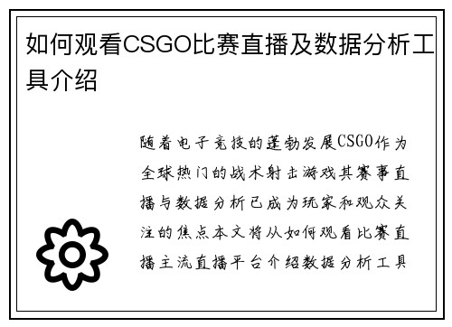 如何观看CSGO比赛直播及数据分析工具介绍