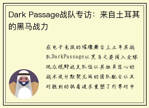 Dark Passage战队专访：来自土耳其的黑马战力